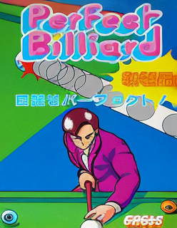 Perfect Billiard