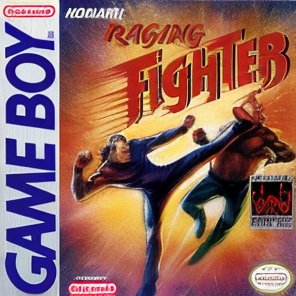 Raging Fighter